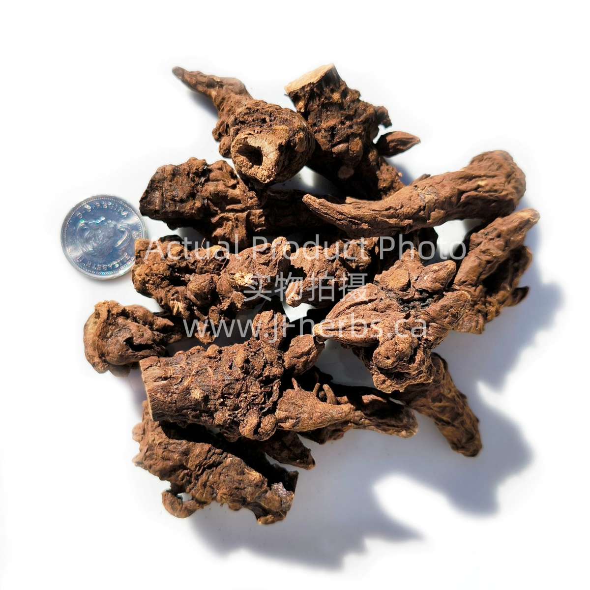 Chuanwu 生川烏(個)